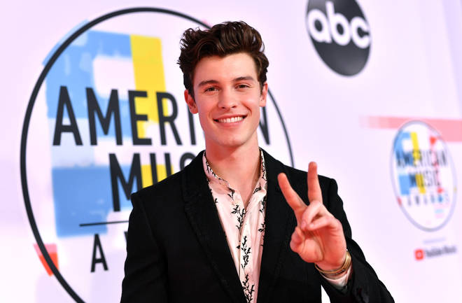 2018 American Music Awards - Red Carpet