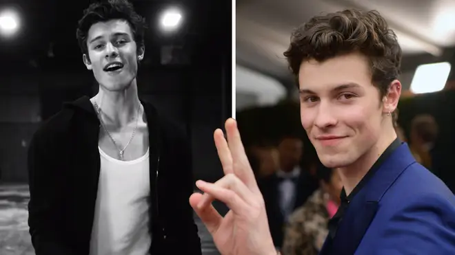 Shawn Mendes teases new album in 2019
